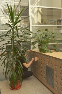 Panevezio biblioteka-2017-07-14
